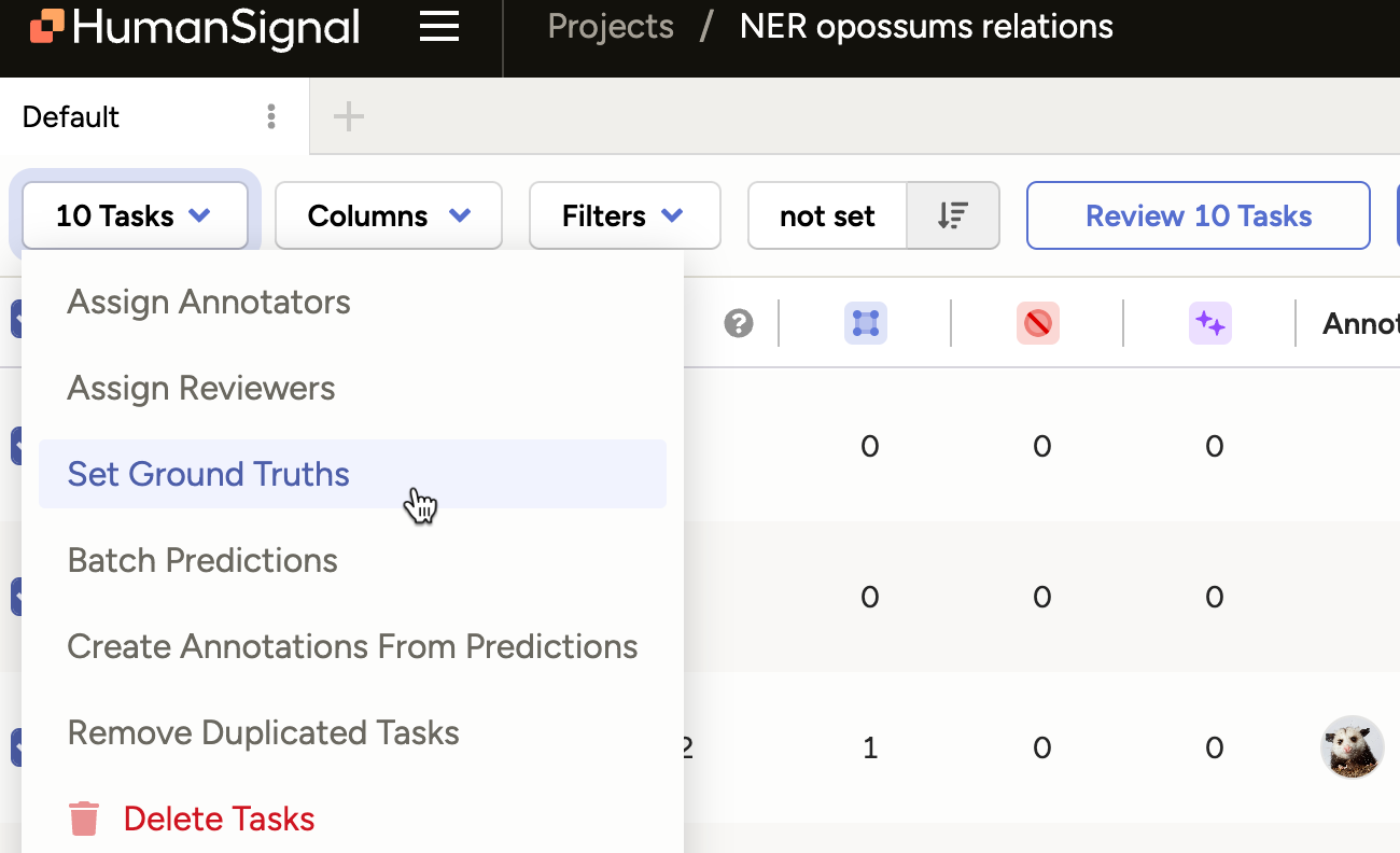 Screenshot of ground truths