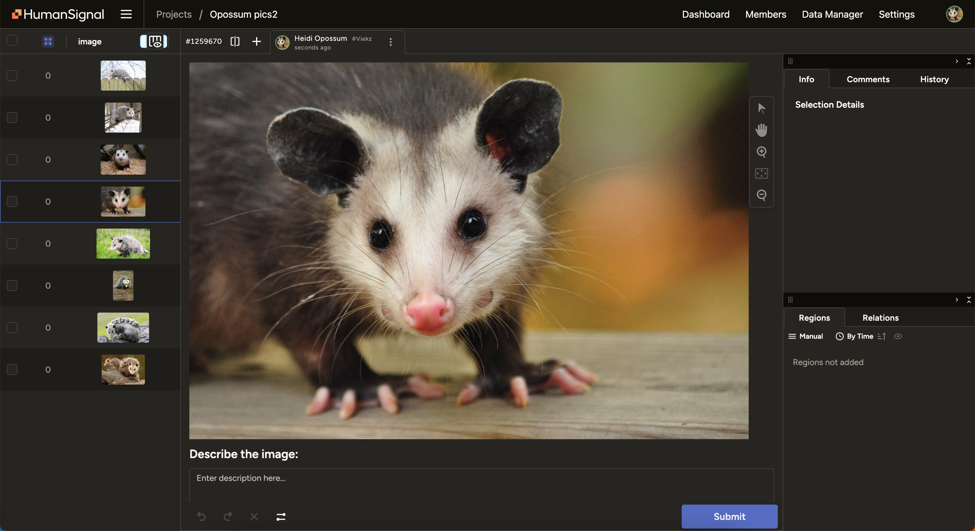 Screenshot of dark mode